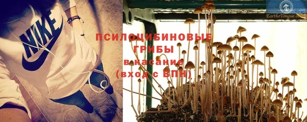 мяу мяу мука Абдулино
