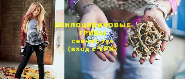эйфоретик Абинск